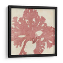 Grillante Seaweed V - Vision Studio | Cuadro decorativo de Canvas Lab