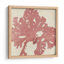 Grillante Seaweed V - Vision Studio | Cuadro decorativo de Canvas Lab