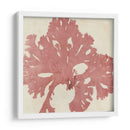 Grillante Seaweed V - Vision Studio | Cuadro decorativo de Canvas Lab