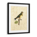 Selby Birds I - John Selby | Cuadro decorativo de Canvas Lab