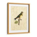 Selby Birds I - John Selby | Cuadro decorativo de Canvas Lab