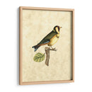 Selby Birds I - John Selby | Cuadro decorativo de Canvas Lab