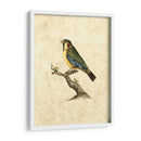 Selby Birds Ii - John Selby | Cuadro decorativo de Canvas Lab