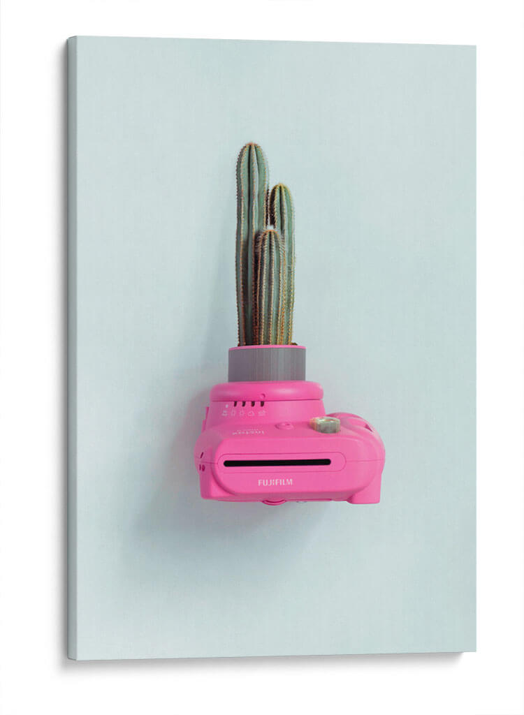 Fuji cactus | Cuadro decorativo de Canvas Lab