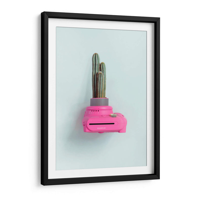 Fuji cactus | Cuadro decorativo de Canvas Lab