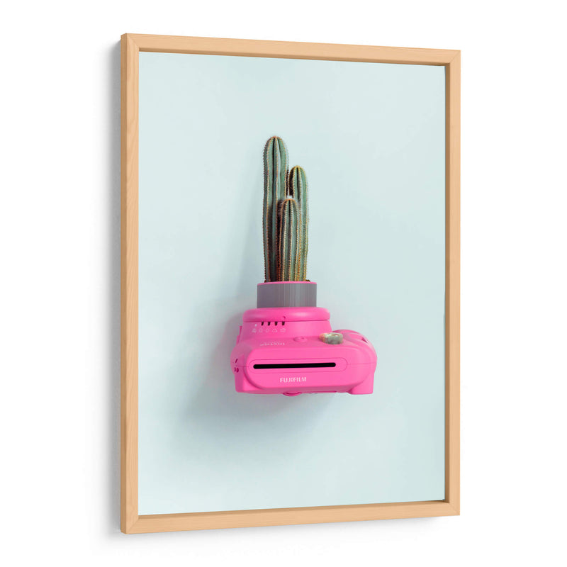 Fuji cactus | Cuadro decorativo de Canvas Lab