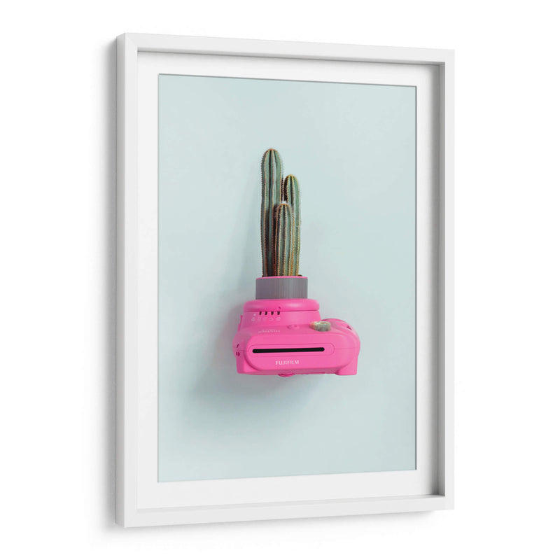 Fuji cactus | Cuadro decorativo de Canvas Lab