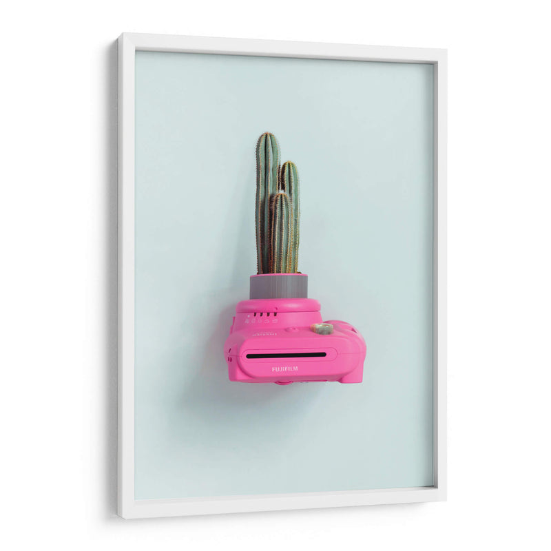 Fuji cactus | Cuadro decorativo de Canvas Lab