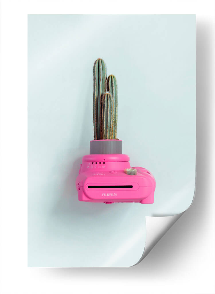 Fuji cactus | Cuadro decorativo de Canvas Lab
