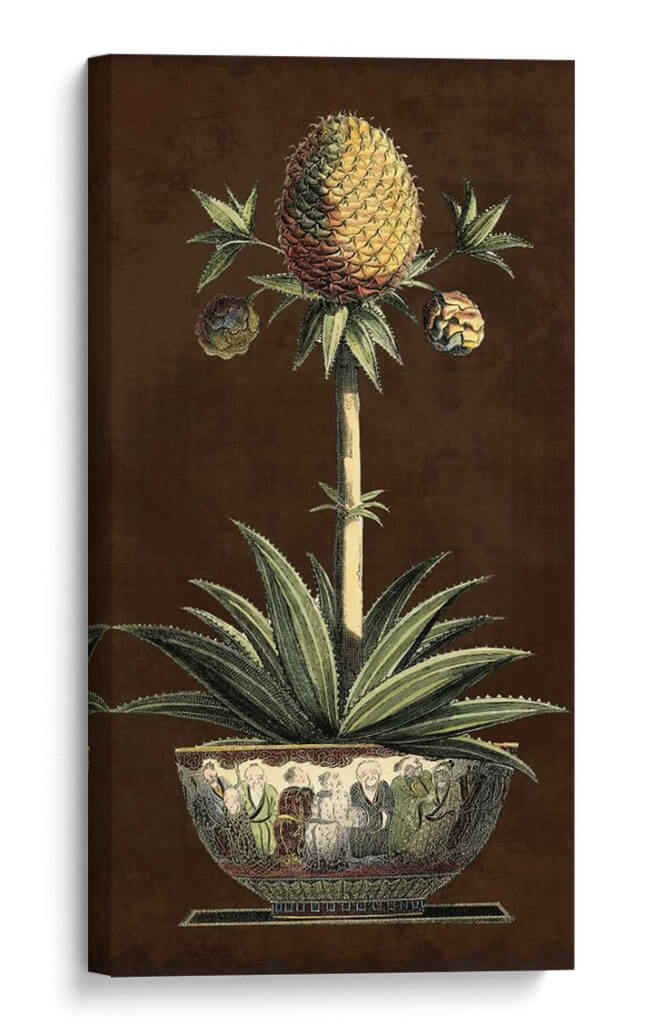 Piña En Maceta I - Vision Studio | Cuadro decorativo de Canvas Lab