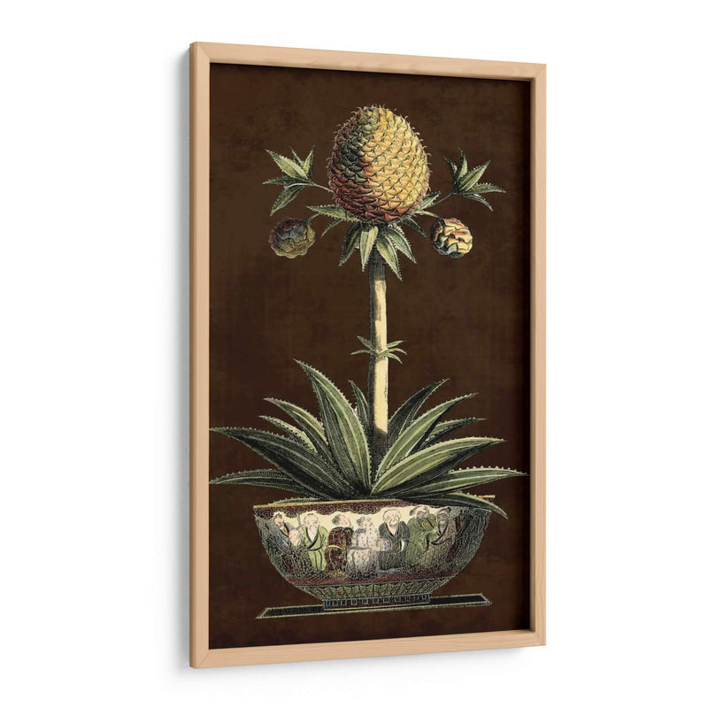 Piña En Maceta I - Vision Studio | Cuadro decorativo de Canvas Lab