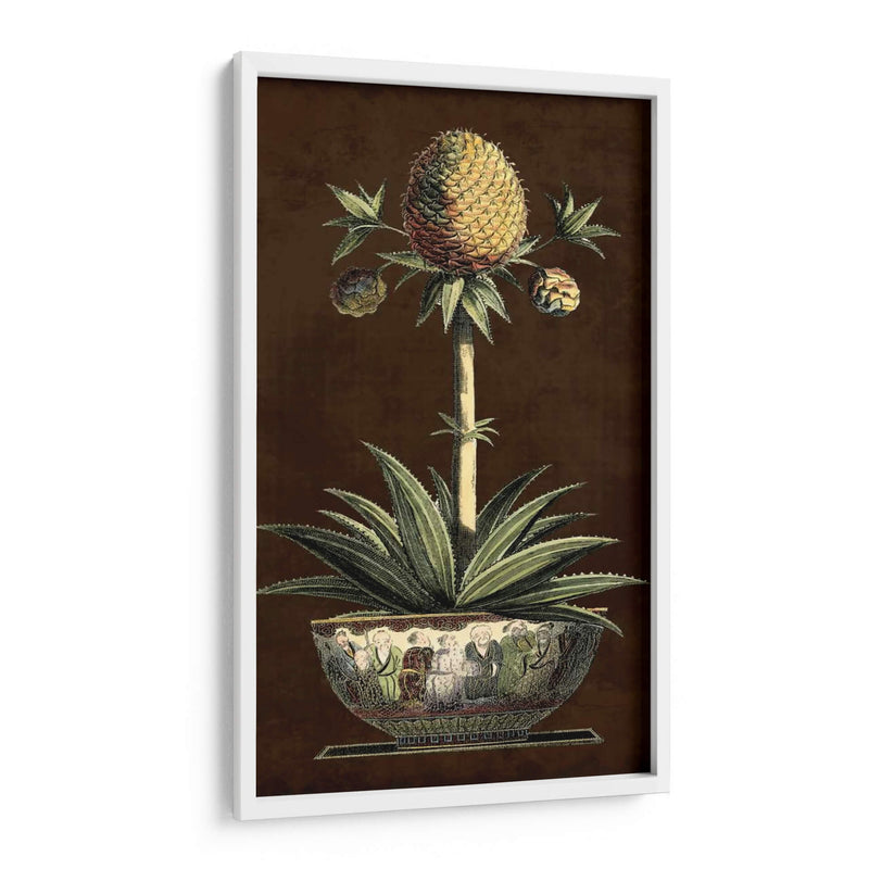 Piña En Maceta I - Vision Studio | Cuadro decorativo de Canvas Lab