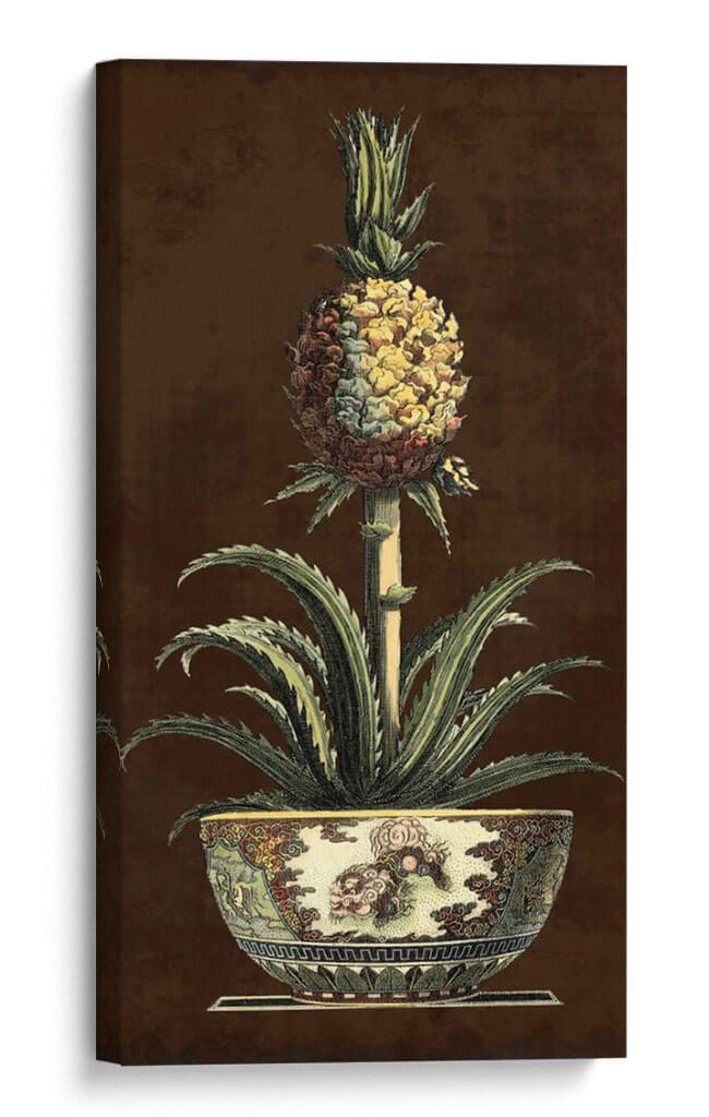 Piña En Maceta Ii - Vision Studio | Cuadro decorativo de Canvas Lab