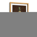 Piña En Maceta Ii - Vision Studio | Cuadro decorativo de Canvas Lab