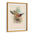 Toucans Tropicales Iii - John Gould | Cuadro decorativo de Canvas Lab