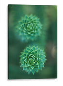 Gira que gira | Cuadro decorativo de Canvas Lab