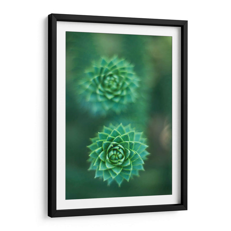 Gira que gira | Cuadro decorativo de Canvas Lab
