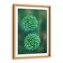 Gira que gira | Cuadro decorativo de Canvas Lab