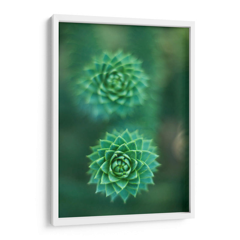 Gira que gira | Cuadro decorativo de Canvas Lab