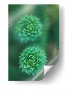 Gira que gira | Cuadro decorativo de Canvas Lab