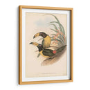 Toucanes Tropicales Iv - John Gould | Cuadro decorativo de Canvas Lab