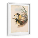 Toucanes Tropicales Iv - John Gould | Cuadro decorativo de Canvas Lab
