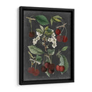 Variedades De Huerta I - Vision Studio | Cuadro decorativo de Canvas Lab