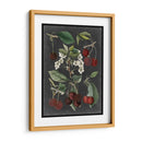 Variedades De Huerta I - Vision Studio | Cuadro decorativo de Canvas Lab