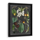 Variedades De Huerta Ii - Vision Studio | Cuadro decorativo de Canvas Lab