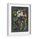 Variedades De Huerta Ii - Vision Studio | Cuadro decorativo de Canvas Lab