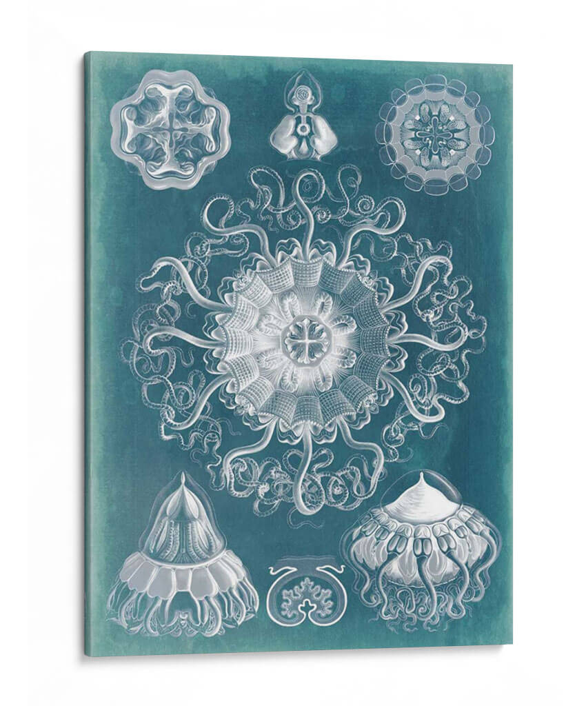 Blueprint De Sealife Ii - Vision Studio | Cuadro decorativo de Canvas Lab