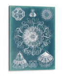 Blueprint De Sealife Ii - Vision Studio | Cuadro decorativo de Canvas Lab