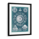 Blueprint De Sealife Ii - Vision Studio | Cuadro decorativo de Canvas Lab