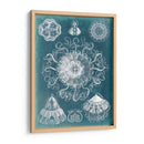 Blueprint De Sealife Ii - Vision Studio | Cuadro decorativo de Canvas Lab