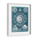 Blueprint De Sealife Ii - Vision Studio | Cuadro decorativo de Canvas Lab