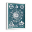 Blueprint De Sealife Ii - Vision Studio | Cuadro decorativo de Canvas Lab