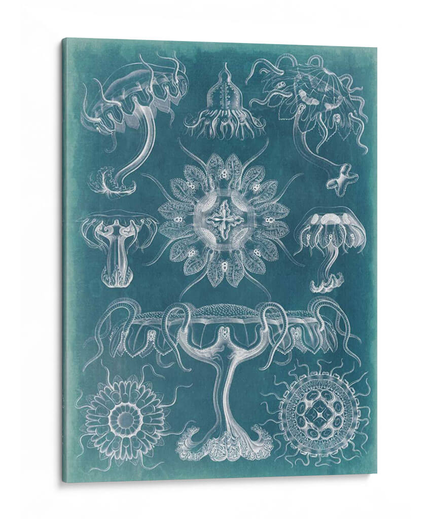 Blueprint Iii De Sealife - Vision Studio | Cuadro decorativo de Canvas Lab