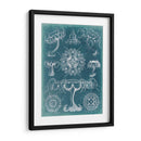 Blueprint Iii De Sealife - Vision Studio | Cuadro decorativo de Canvas Lab
