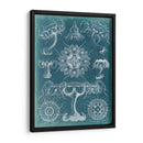 Blueprint Iii De Sealife - Vision Studio | Cuadro decorativo de Canvas Lab