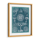 Blueprint Iii De Sealife - Vision Studio | Cuadro decorativo de Canvas Lab