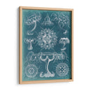 Blueprint Iii De Sealife - Vision Studio | Cuadro decorativo de Canvas Lab