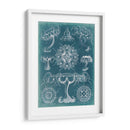 Blueprint Iii De Sealife - Vision Studio | Cuadro decorativo de Canvas Lab