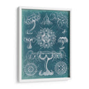 Blueprint Iii De Sealife - Vision Studio | Cuadro decorativo de Canvas Lab