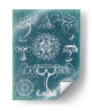 Blueprint Iii De Sealife - Vision Studio | Cuadro decorativo de Canvas Lab