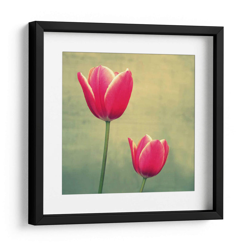 Tulipán En Fucsia Ii - Lillian Bell | Cuadro decorativo de Canvas Lab