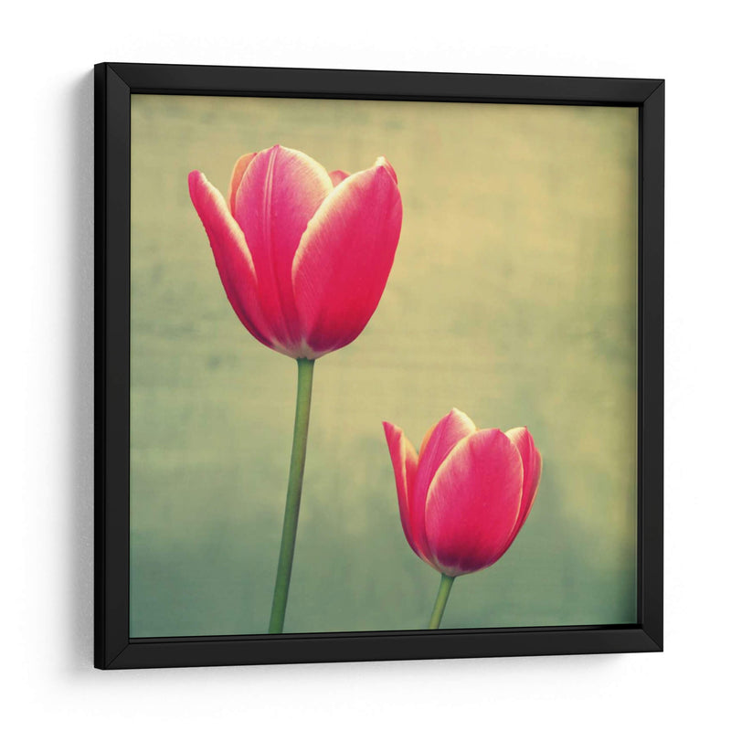 Tulipán En Fucsia Ii - Lillian Bell | Cuadro decorativo de Canvas Lab