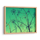 Vaca Perejil Yo - Lillian Bell | Cuadro decorativo de Canvas Lab