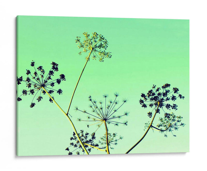 Vaca Parsley Ii - Lillian Bell | Cuadro decorativo de Canvas Lab