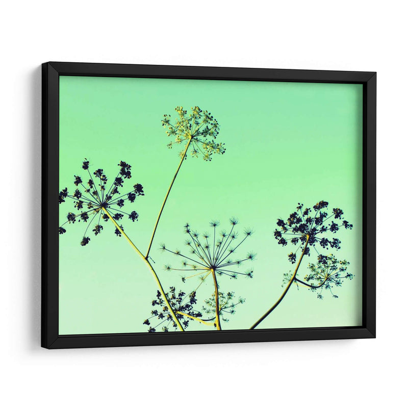 Vaca Parsley Ii - Lillian Bell | Cuadro decorativo de Canvas Lab