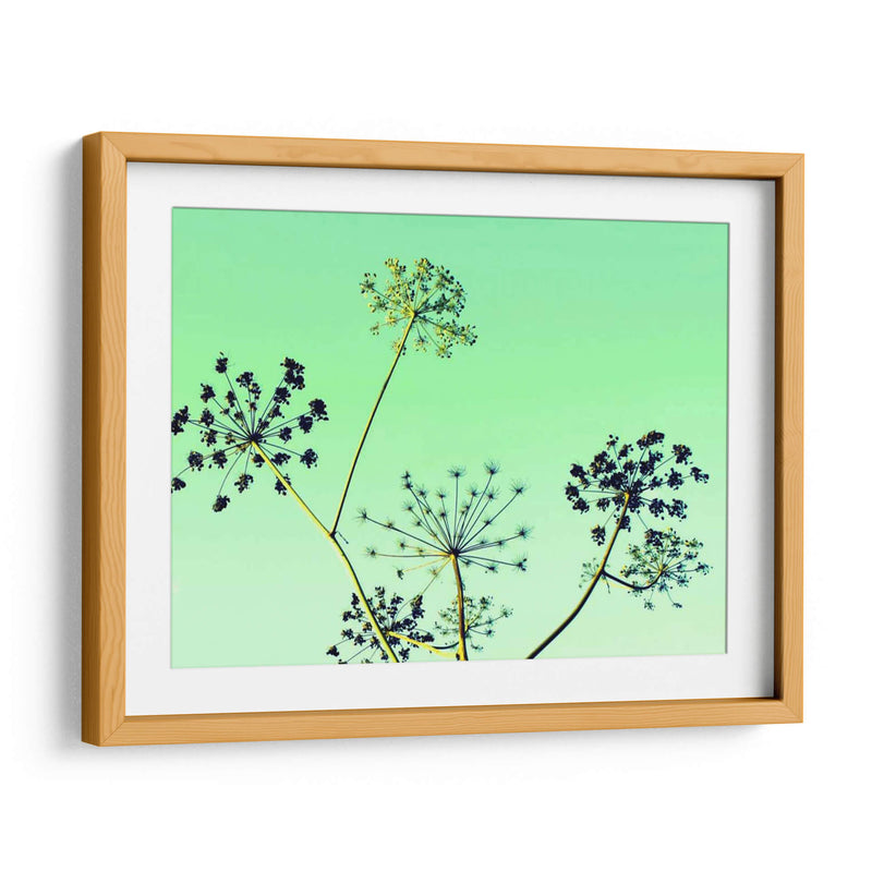 Vaca Parsley Ii - Lillian Bell | Cuadro decorativo de Canvas Lab